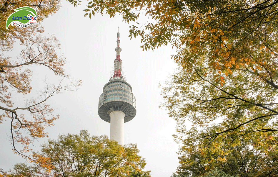 TOUR HÀN QUỐC: SEOUL - NAMI - EVERLAND 5 NGÀY 4 ĐÊM